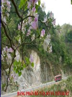 bai phan xa toan phan chinh sua moi nhat