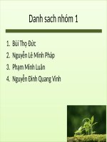 SỰ THAY ĐỔI GIÁ CỦA ĐỒNG NHÂN DÂN TỆ SẼ ẢNH HƯỞNG ĐẾN CHỈ SỐ THẶNG DƯ CỦA TRUNG QUỐC TRONG THƯƠNG MẠI GIA CÔNG NHƯ THẾ NÀO