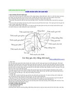 CHẨN ĐOÁN SIÊU ÂM GAN MẬT