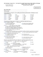 Đề TN THPT môn Tiếng Anh PB năm 2008 kỳ 1 mã 287