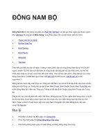 Ôn tập địa 9 học kì 2