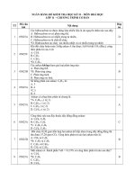 ôn tập hóa hoc 11 hk2