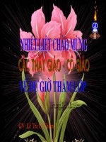 trợ từ-thán từ