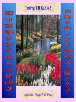 co quan sinh sản cua thuc vat co hoa