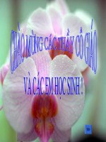 bai 29- dien the hoat dong