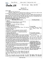 Giáo án Tuần 29+ 30 theo CKTKN