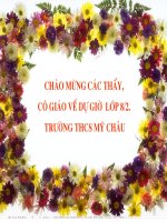 On tap chuong III. Tiet 55