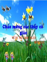 DIỆN TÍCH HÌNH TRÒN, HÌNH QUẠT TRÒN