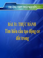 Bài 31 (tiết 1): Thực hành tìm hiểu cấu tạo ĐCĐT