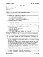 báo cáo tốt nghiệp phòng ngừa và hạn chế rủi ro tín dụng tại ngân hàng thương mại việt nam