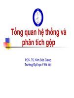 Tổng quan hệ thống và phân tích gộp