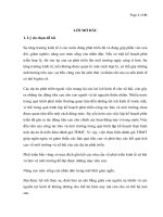 MỘT SỐ GIẢI PHÁP ĐỂ BẢO VỆ MÔI TRƯỜNG CỦA DỰ ÁN ĐẦU TƯ XÂY DỰNG NHÀ MÁY BIA HÀ NỘI – HƯNG YÊN