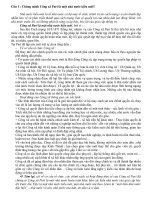 đề thi học sinh giỏi sử