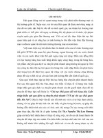 Luận văn:  Thủ tục hải quan đối với hàng hóa xuất nhập khẩu gửi qua dịch vụ chuyển phát nhanh TNT tại chi cục hải quan bắc hà nội