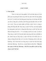 Phân tích thực trạng và chiến lược Marketing – Mix đối với sản phẩm cà phê của Tổng công ty cà phê Việt Nam