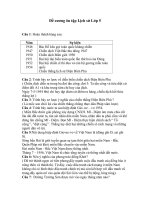 Đề cương ôn tập Lịch sử 5 giữa kì 2