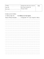 Đề kiểm tra GKII Tiếng Việt lớp 3