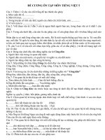 Đề cương ôn tập Tiếng Việt 5 giữa kì II