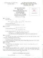 Đề, đáp án chuyên HL 2010