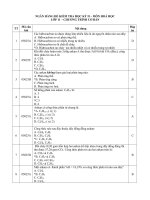 ôn tập hóa học 11 hk II