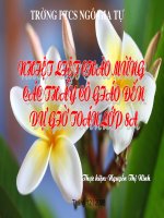 Tài liệu giáo án toán lớp 8