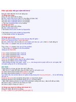 Ngữ pháp Tiếng Anh: Rút gọn mệnh đề tính từ