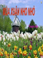 BÀI 23. MÙA XUÂN NHO NHỎ