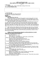 BAI KIEM TRA DINH KY MON TIENG VIET GIUA HOC KY II LOP 5