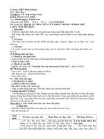 Bài 30. Sự nhân lên của vỉut trong tế bào