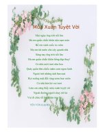 Mùa xuân tuyệt  vời