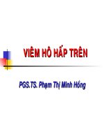Bài giảng viêm hô hấp trên, PGS.TS.Phạm Thị Minh Hồng