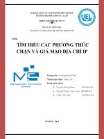 Báo cáo môn học an toàn và bảo mật hệ thống thông tin Tìm hiểu các phương thức chặn và giả mạo địa chỉ IP