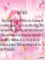 bài 45: NGUỒN GỐC CÂY TRỒNG