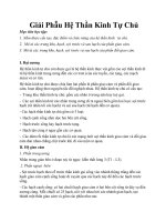 Giải Phẫu Hệ Thần Kinh Tự Chủ