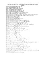 các lỗi thường gặp trpng chạy chương trình pascal