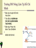 AUXINIAA VÀ CÁC AUXIN NHÂN TẠO KHÁC