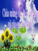 Câu trần thuật đơn - tiết 110 (Văn 6 - HKII)