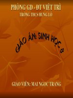 Bài 51 - Tiết 53: Cơ quan phân tích thính giác