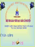 Nước đại việt ta