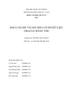 BÁO CÁO ĐỀ TÀI MÃ HÓA CƠ SỞ DỮ LIỆU ORACLE BẰNG TDE
