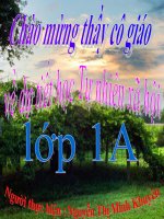 Bai con muoi - TNXH lop 1