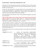 COLLOCATION   CMP (CÓ DỊCH)