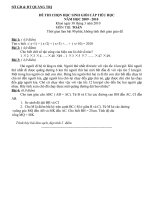 Đề thi HSG Toán cấp TH tỉnh Quảng Trị năm học 2009 - 2010