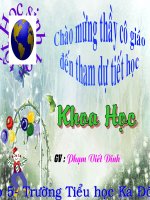 hoi thi giao vien gioi tinh khoa hoc su sinh san cua thuc vat co hoa