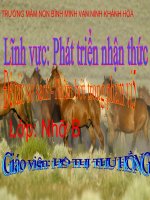 lình vực nhận thức