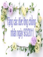 Thân tặng phái mày râu sau ngày Quốc tế Phụ nữ (có nhạc và hiệu ứng tự động)