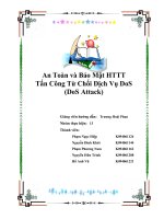 Tiểu luận An toàn và bảo mật hệ thống thông tin Tấn Công Từ Chối Dịch Vụ DoS (DoS Attack)