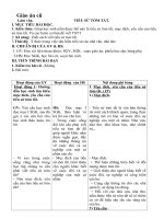 giao an DMPP thang 2 khoi 11