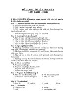 cau hoi trac nghiem tin 8