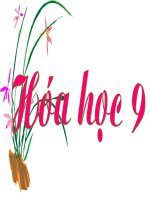 Bái 31 - Sơ lược về bảng HTTH